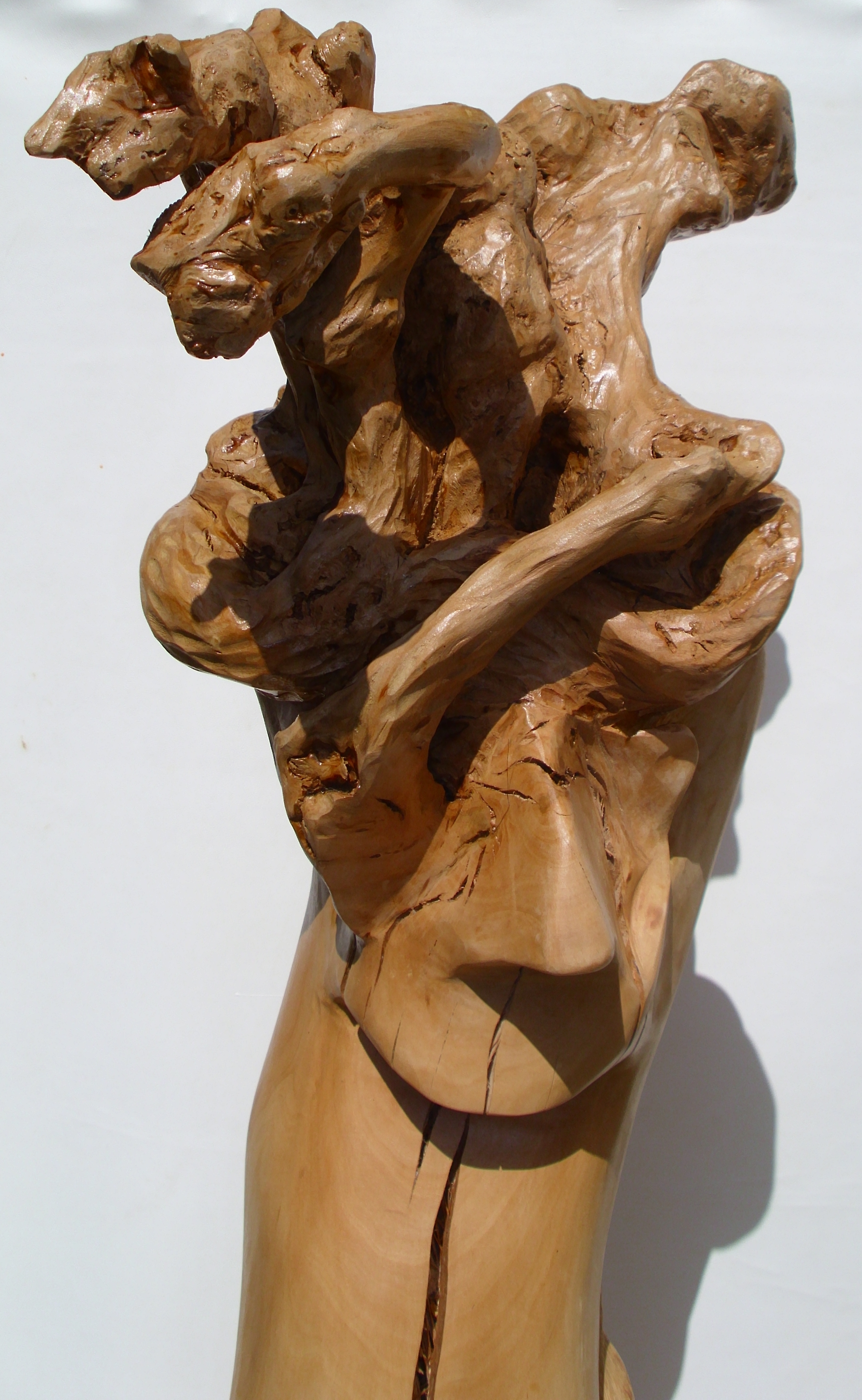 čert detail1