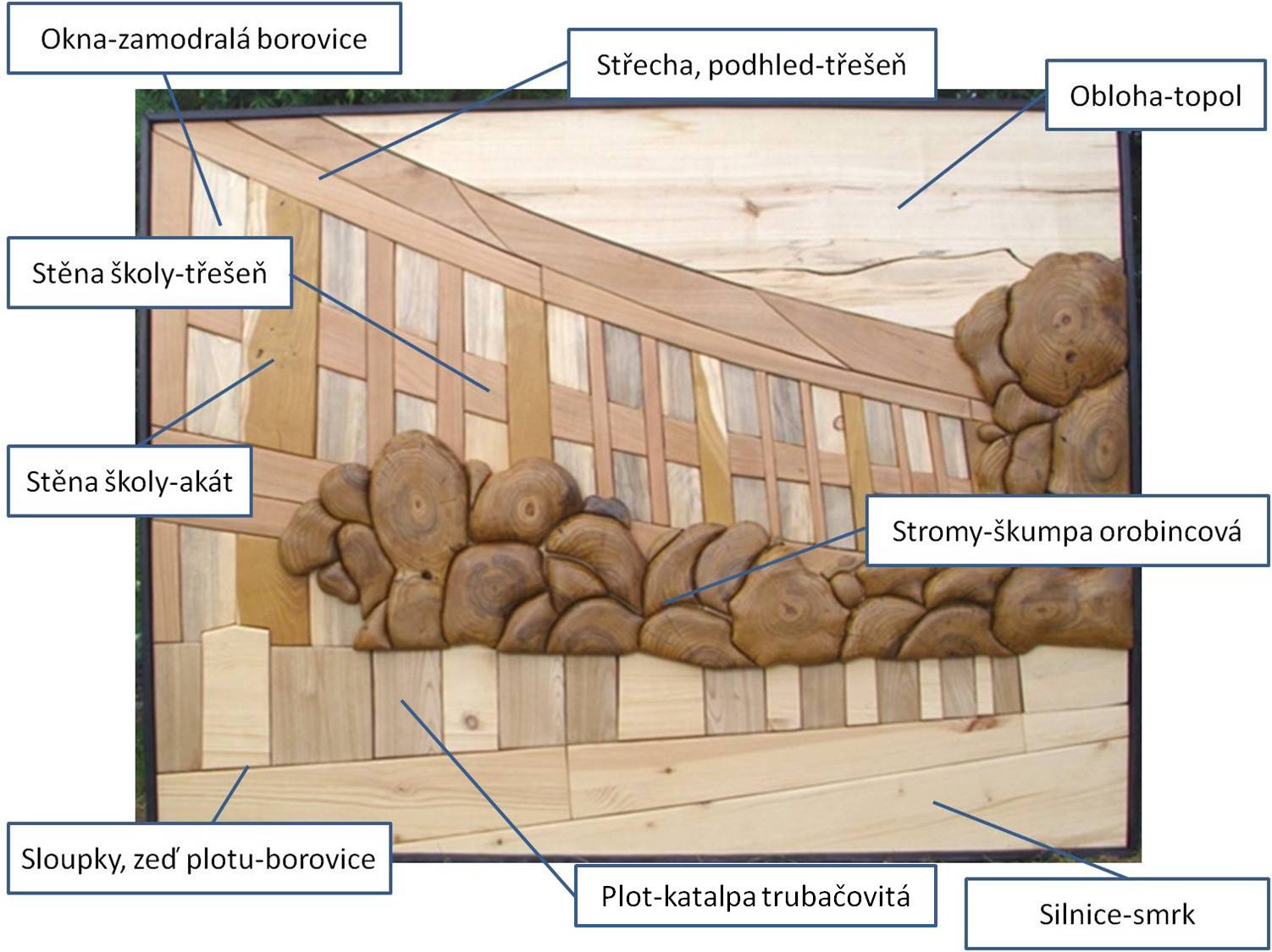 metelkárna A0 druhy dřev